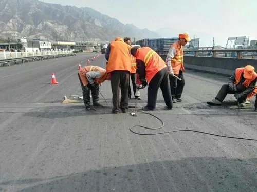 武川道路桥梁病害治理